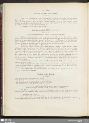 Trochus Buchii du Bois