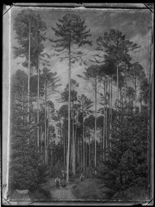 Waldweg