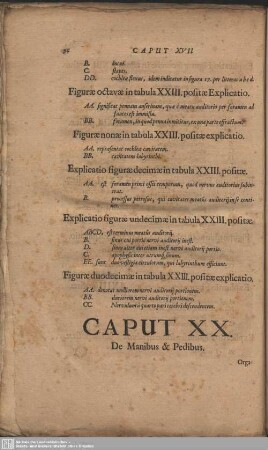 Caput XX. De Manibus & Pedibus