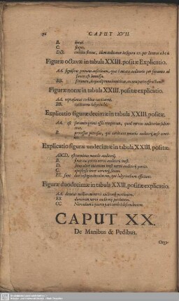 Caput XX. De Manibus & Pedibus