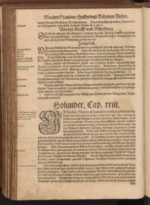 Holunder, Cap. XXIII