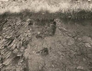 Sächsische Schweiz. Basalt (links) und Sandstein (rechts) am Großen Winterberg