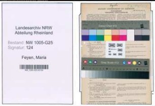 Entnazifizierung Maria Feyen , geb. 26.10.1896 (Drogistin)