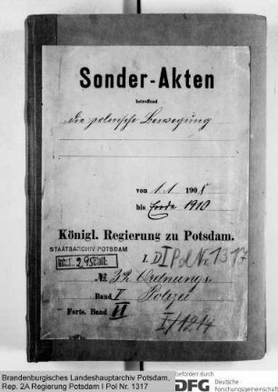 Die polnische Bewegung