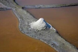 Frankreich. Poitou Charentes. Maritime. Ile de Re. Loix. Nähe. Salzgärten