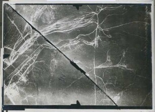 Foto der Absturzstelle eines abgeschossenen feindlichen Flugzeugs bei Binarville (Luftbild)