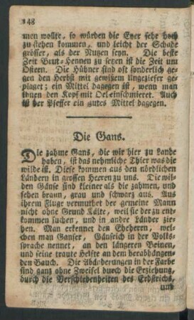 Die Gans