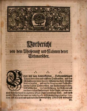 Anton Viethens, Hochfürstl. Schleßwig-Hollsteinischen Cammer-Assessoris, Beschreibung und Geschichte des Landes Dithmarschen, oder Geographische, Politische und Historische Nachricht vom bemeldten Lande