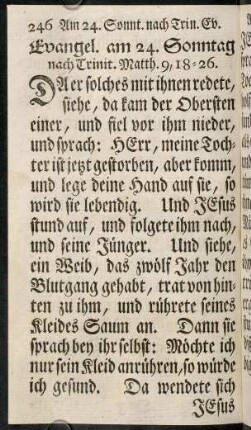 246-260, Evangel. am 24. Sonntag nach Trinit. - Evangel. am 26. Sonntag nach Trinit.