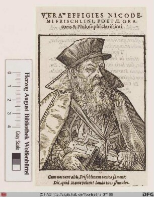 Bildnis Nicodemus Frischlin
