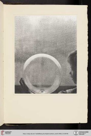 [Clarence Hudson White, XIII. Drops of Rain, photogravure from original negative]