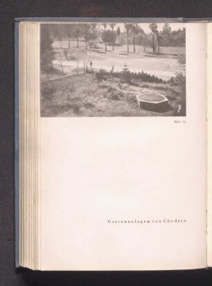 Bild 54 - Gartenanlagen von Chedera