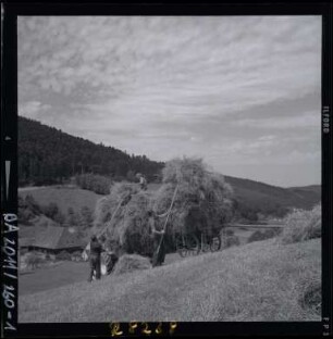 Ernte im Schwarzwald