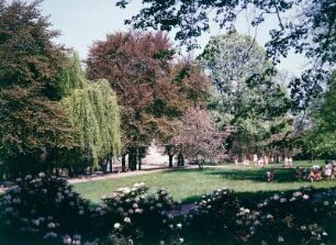 Dresden. Beutler-Park : Dresden-Altstadt. Partie im Beutlerpark mit Baumgruppe (Blutbuche, Hängebuche, Rotbuche, Ungarische Silberlinde, Zierapfel) und spazierende Kindergartengruppe