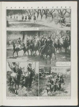Cacería del Zorro