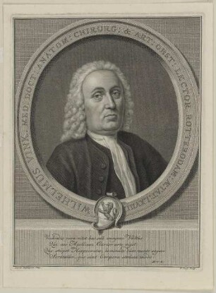 Bildnis des Wilhelmus Vink