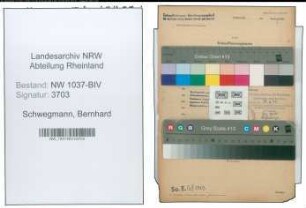 Entnazifizierung Bernhard Schwegmann , geb. 25.01.1895 (Rektor)