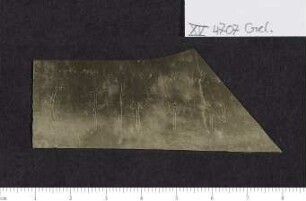 CIL XV 4707, Gelatinefolie