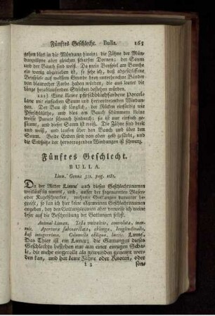 Fünftes Geschlecht. BULLA.