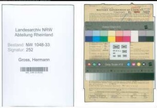 Entnazifizierung Hermann Gross , geb. 16.01.1899 (Arzt)