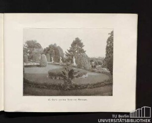 47. Partie aus dem Parke von Monrepos.