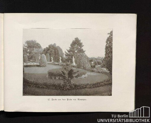 47. Partie aus dem Parke von Monrepos.