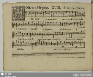 XVIII. Haec est vera fraternitas