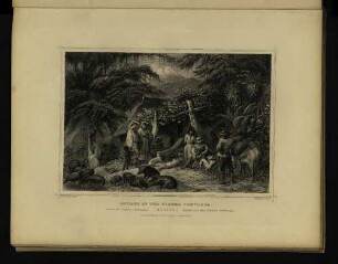 Indians of the Tierra Templama.