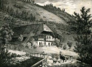 Bauernhaus im Schappacher Thal bei Rippoldsau