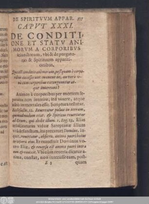 Caput XXXI. De Conditione Et Statu Animorum A Corporibus seiunctorum, ubi & de purgatorio & Spirituum apparitionibus.