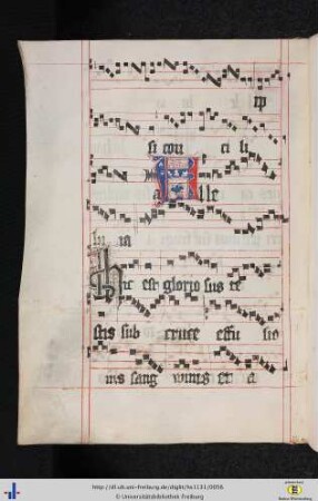 Alleluia. Hic est gloriosus.