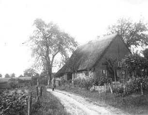 Mit Reet gedeckter Fachwerkbauernhof