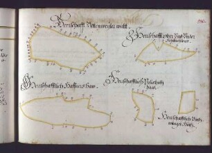 Schlierbacher Hut: Verschiedene Herrschaftliche Waldstücke