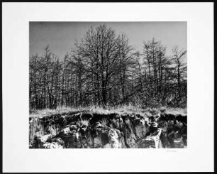 Foto, Causse Méjean