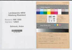 Entnazifizierung Anton Schnock, geb. 06.11.1903 (Angest.)