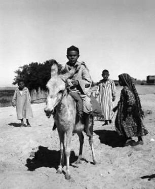 Reisefotos Ägypten. Beni Hasan. Fellachen. Kindergruppe mit Eselreiter