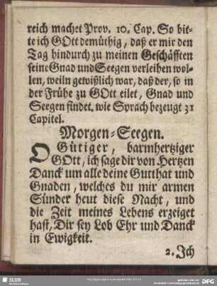 Morgen-Seegen