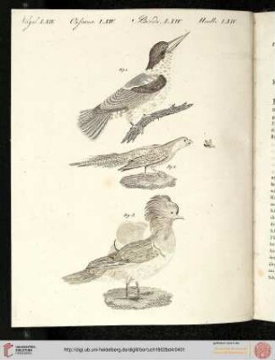 B.IV. No. 81 - B.III. No. 90
