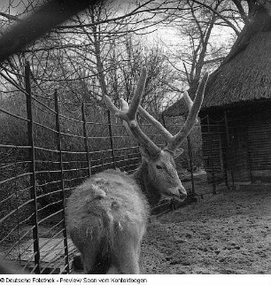 Zoo