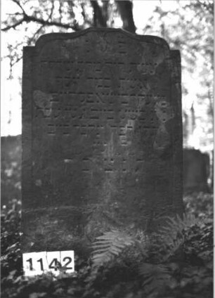 Grabstein 1142 (Index: 99899849) Material: Sandstein Zustand: etwas angewittert Maße HxBxT: 150x54x18 cm Beschreibung: Stele mit eingezogenem Schulterbogenabschluss, von der Spitze herabhängende Blüte Symbolik: Blüte: Grabstein 1142