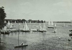 Segelboote auf Wannsee