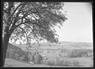 Hinterzarten im Frühsommer