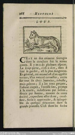 Loup
