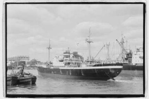 Volumnia (1958), Kirsten.- Adolf Kirsten, Hamburg