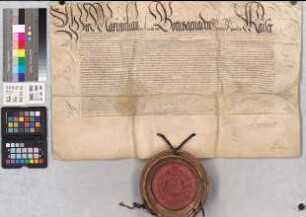 Kaiser Maximilian II. bestätigt Bischof Johann von Münster, Administrator von Osnabrück bzw. dessen Bevollmächtigten Lorenz Schrader die Regalien und Privilegien des Stifts Paderborn. SA des Ausstellers US des Kaisers und der Kanzlei