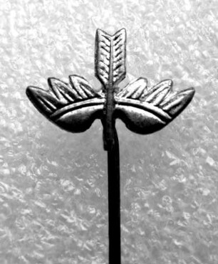 Stenographenabzeichen Geflügelte Feder (mit langer Nadel) : Sammlung Beinhorn. Stenographenabzeichen Geflügelte Feder (mit langer Nadel). Metall; Maße (ohne Nadel) 11 x 15 mm. Dresden: SLUB R c 0260