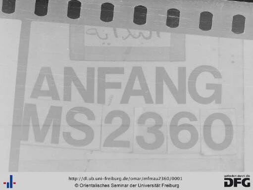 MF Mau 2360