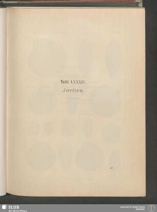 Tafel LXXXIV. Jovites
