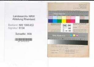 Entnazifizierung Willi Schaefer, geb. 05.06.1901 (Malermeister)