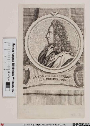 Bildnis Antonio (cavaliere) Vallisnieri
